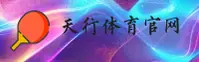 使用指南与常见问题
